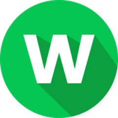 WebsiteAudit.com logo