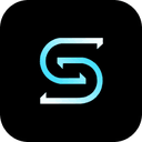 Seedance 2.5 Online AI Logo